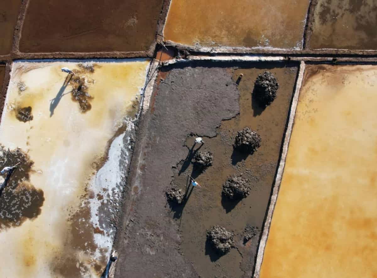 Picture of the author